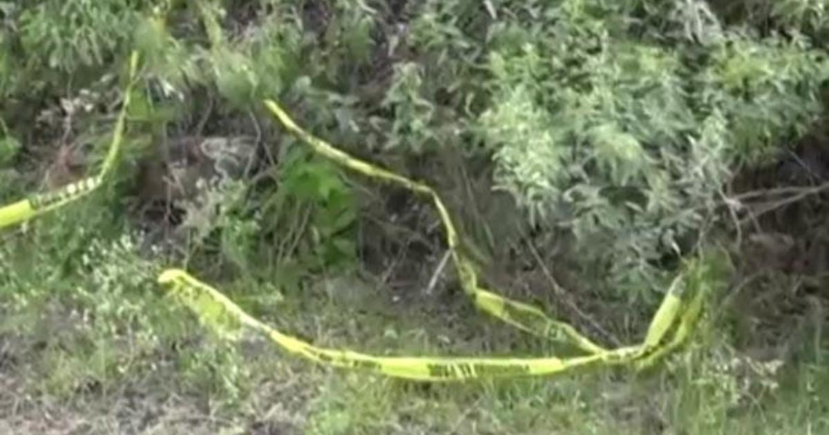 59 bodies found in hidden graves in Mexico