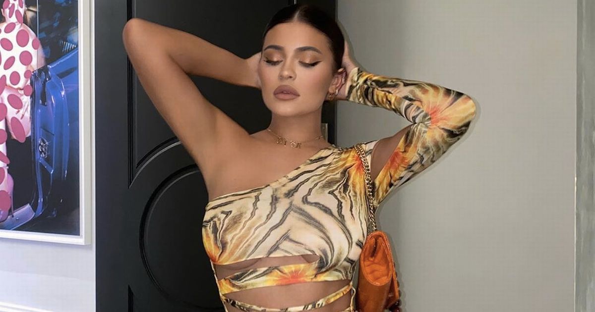 Kylie Jenner asserts her dominance in sexy snap but insists she’s not bossy