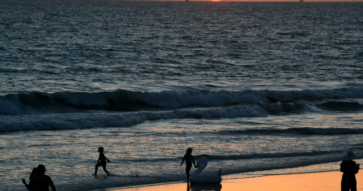 Shark Lab tags record number of sharks off Southern California coast