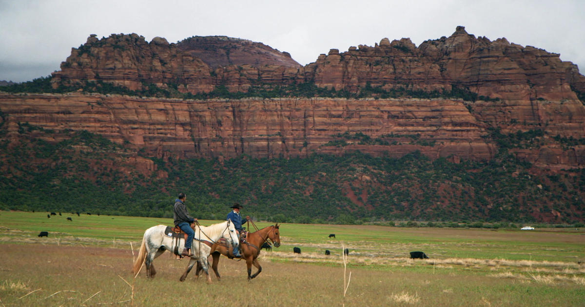 Rodeo lessons: The cowboys of saddle bronc