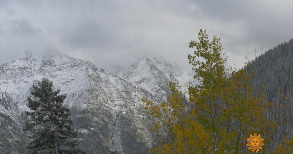 Nature: Colorado forest