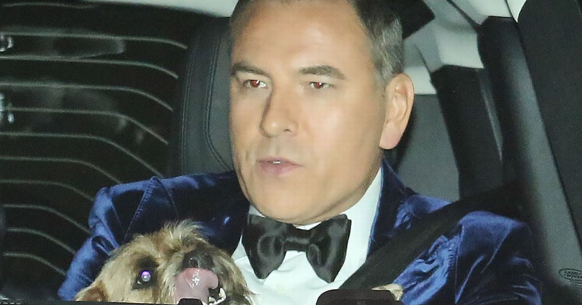 BGT judges Amanda Holden and David Walliams in glamorous display ahead of final