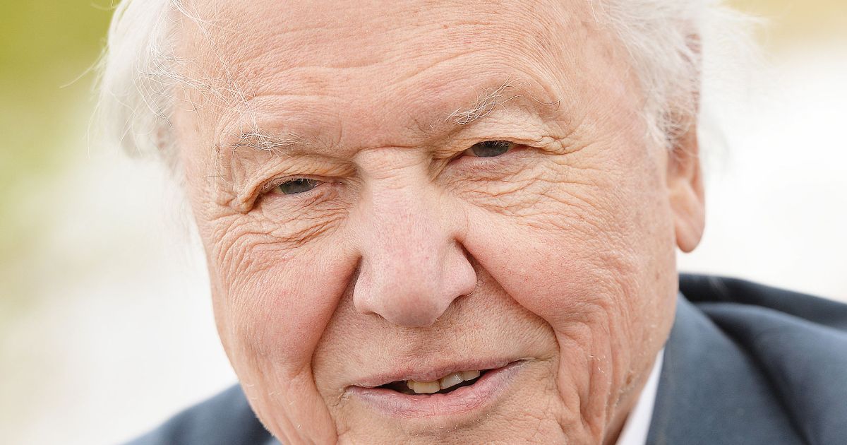 David Attenborough, Lorraine Kelly and Mary Berry lead celebs in Honours List