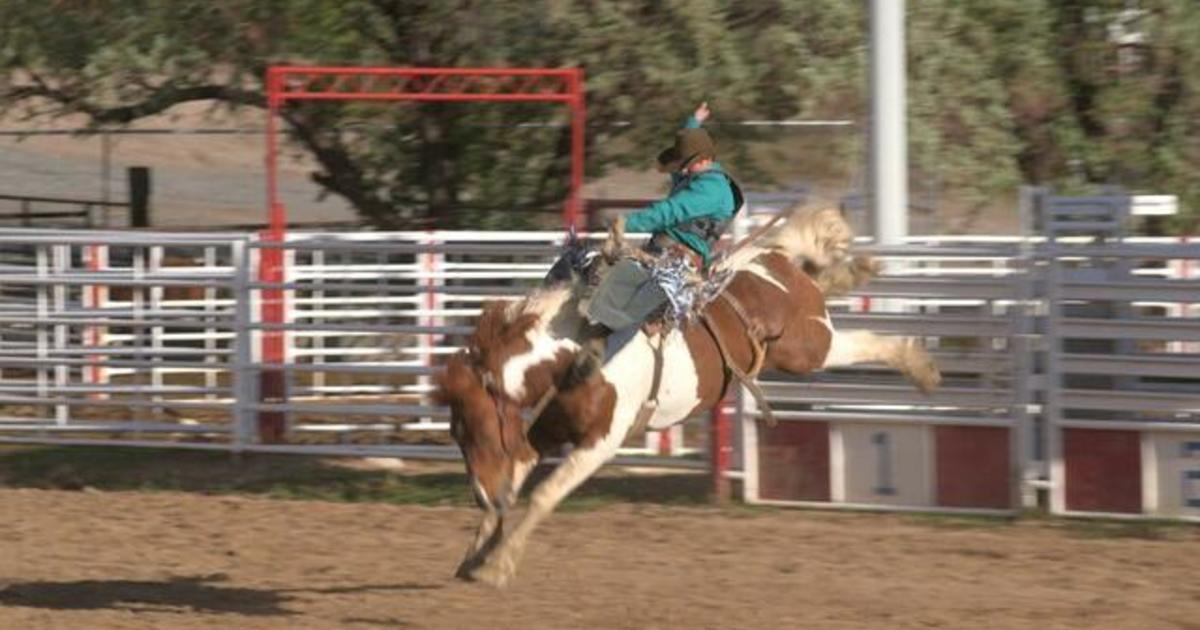 The family that dominates saddle bronc riding