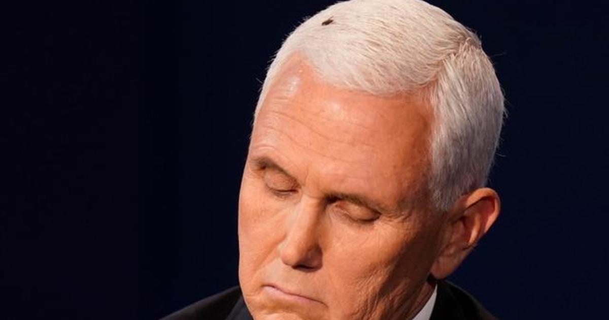 Fly lands on Pence’s hair during vice presidential debate