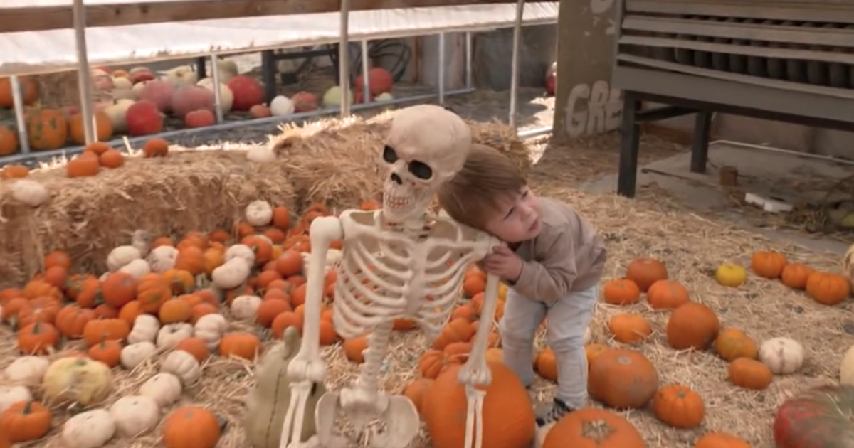 Toddler befriends Halloween skeleton amid pandemic