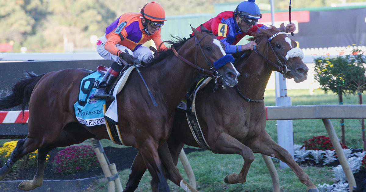 Swiss Skydiver upsets Authentic to win 2020 Preakness Stakes