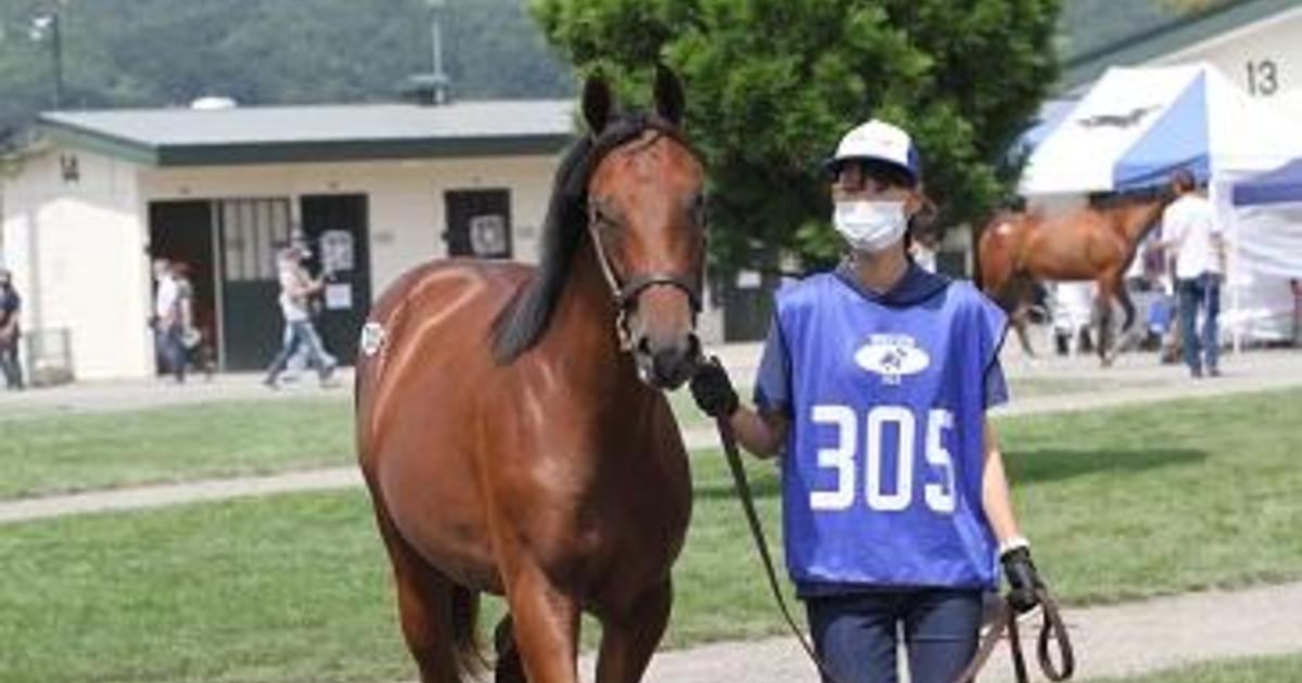 Teen agriculture students’ racehorse fetches $238k at Japan auction