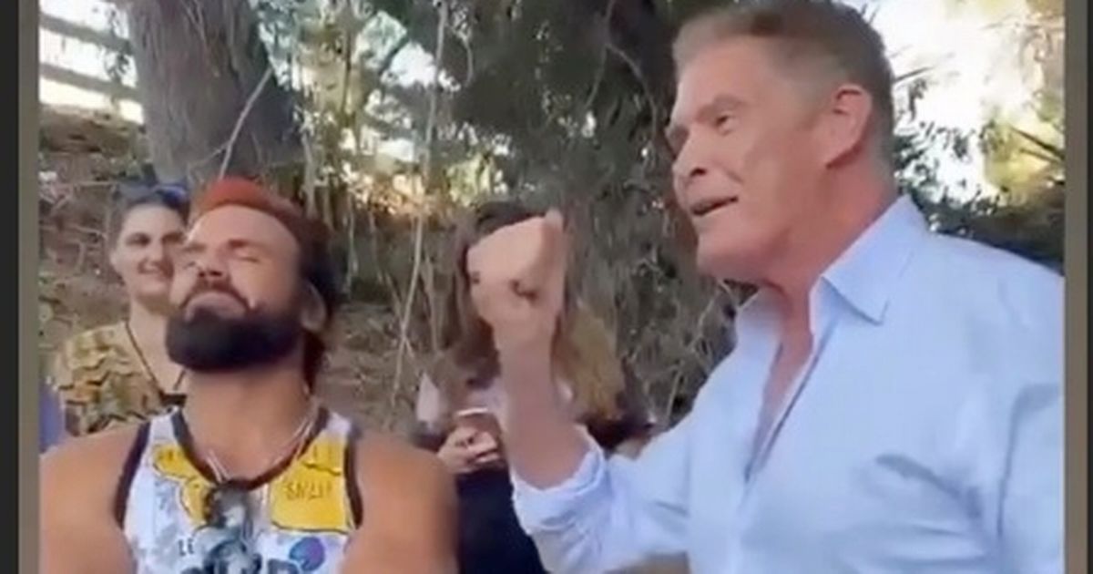 Baywatch’s Jeremy Jackson parties with The Hoff while ex is seen on the streets