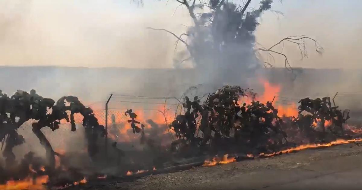 Wildfire explodes in California, forcing about 60,000 to evacuate