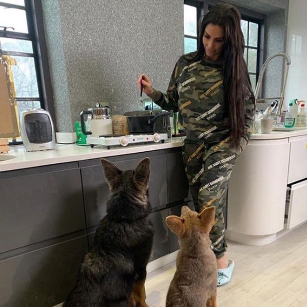 Katie Price with her dogs Sparkle and Bear