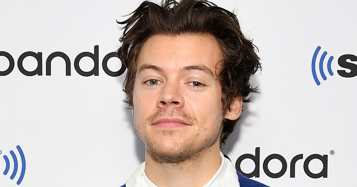 Harry Styles’ mysterious life – love, sexuality and exes who inspired his songs