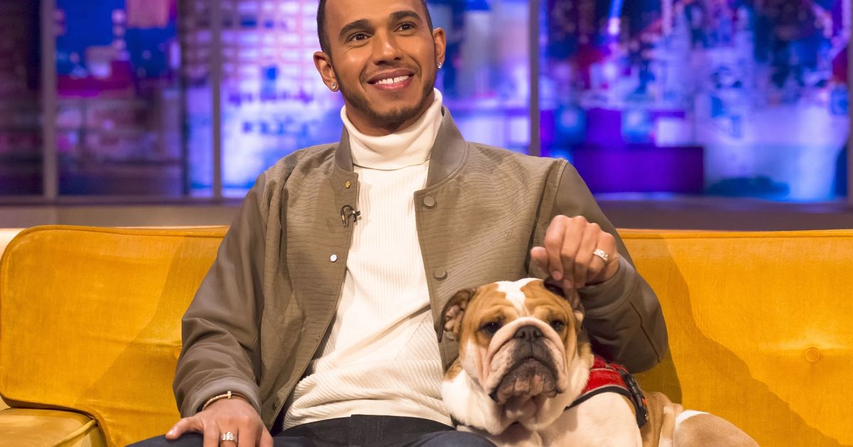 Lewis Hamilton slammed by experts for giving pet dog ‘dangerous’ vegan diet