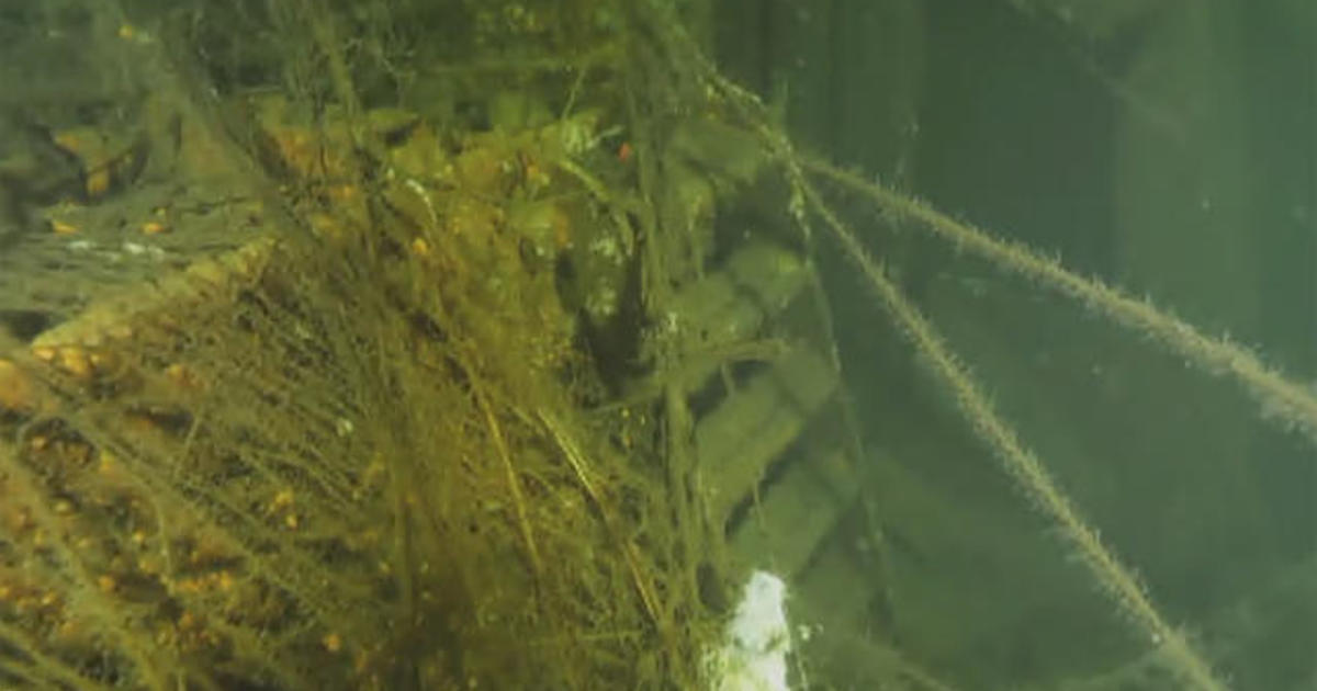 Raw video: Wreck of German WWII ship found in Baltic Sea