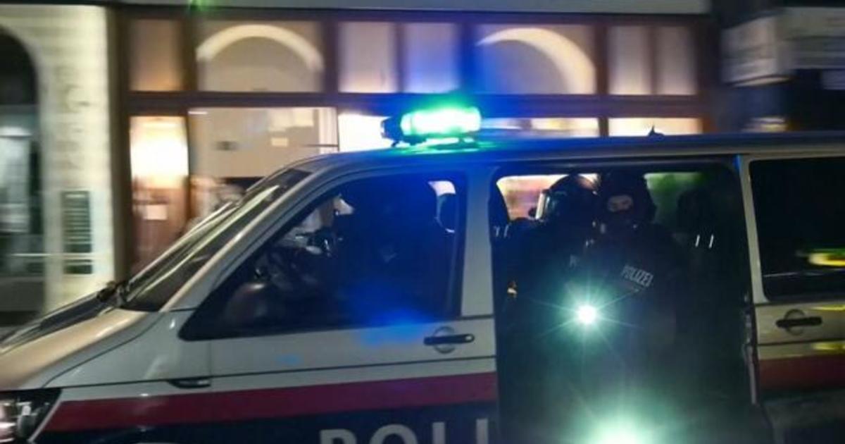 At least 1 killed and several wounded in Vienna terror attack