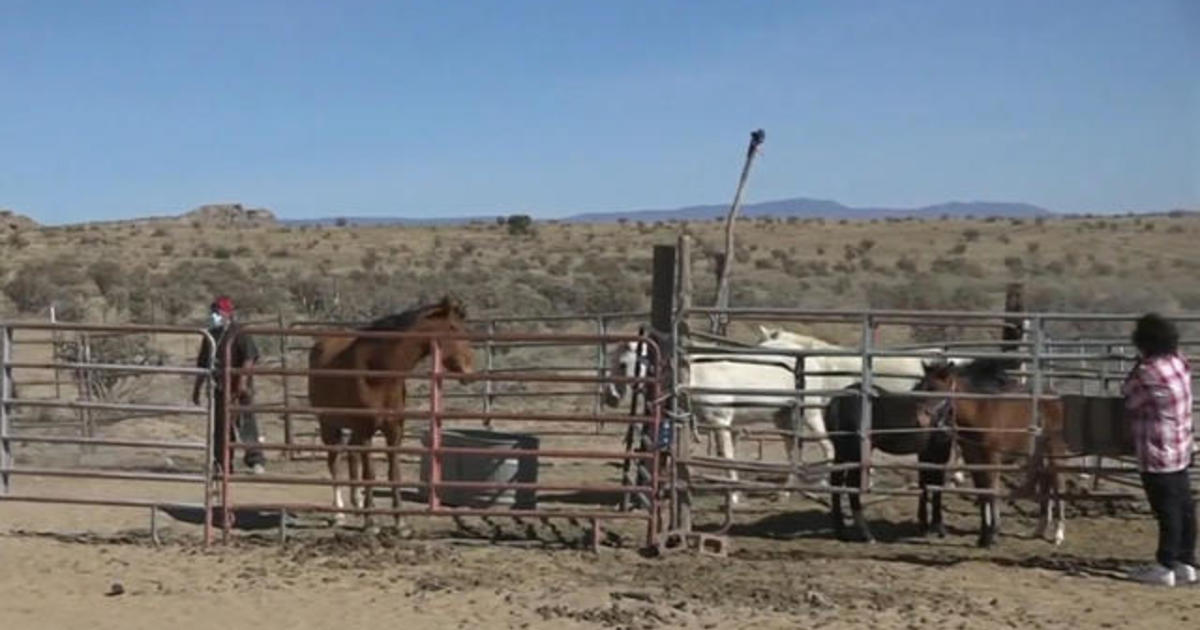 Navajo Nation’s kids try to adjust as pandemic forces schools to close