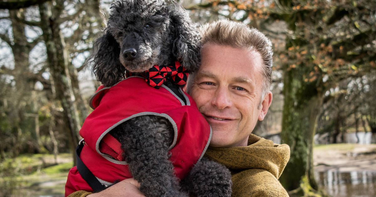 ‘Wildlife saved us in lockdown, now we must save it,’ says Chris Packham