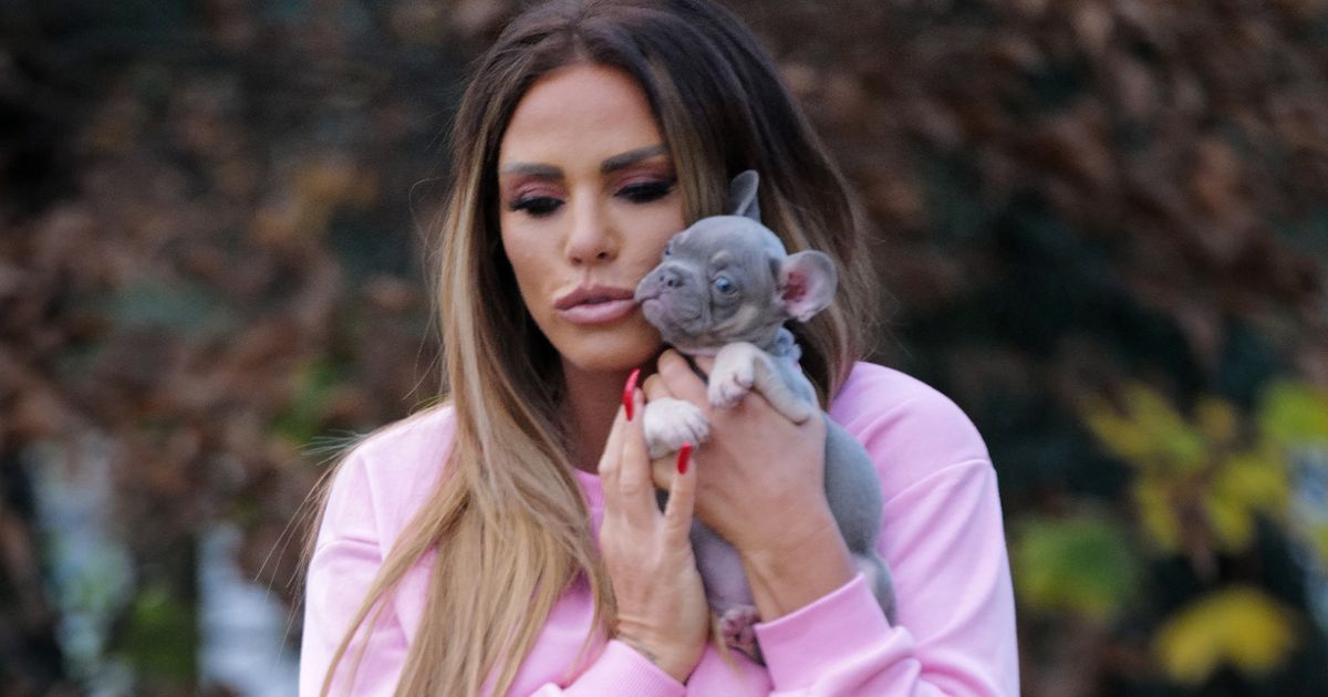 Katie Price introduces cute new puppy months after French Bulldog’s tragic death