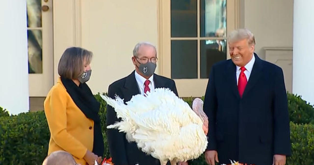 Trump pardons Thanksgiving turkey at the White House