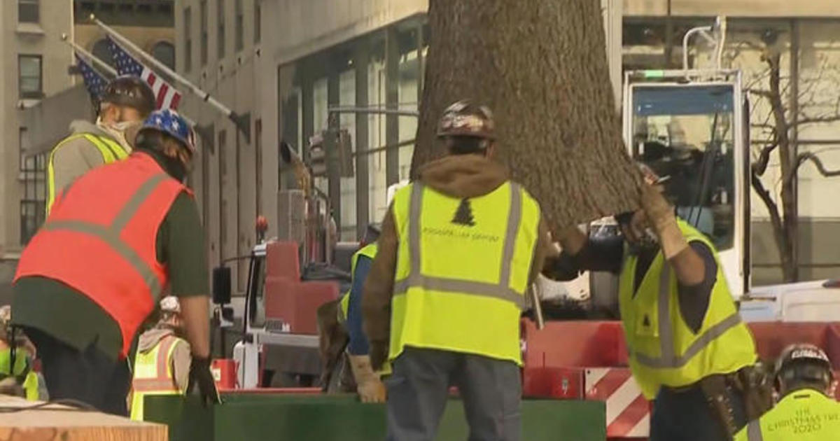 Rockefeller Christmas tree arrives in New York City