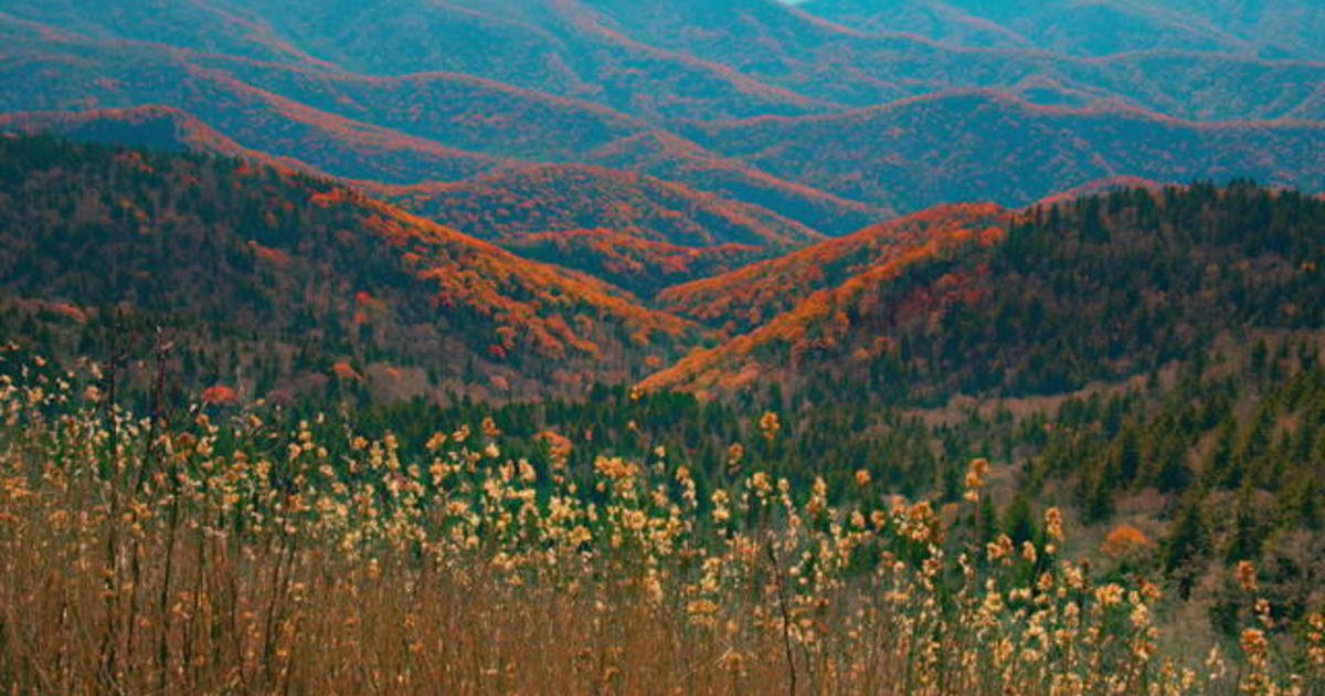 Nature: Late autumn colors