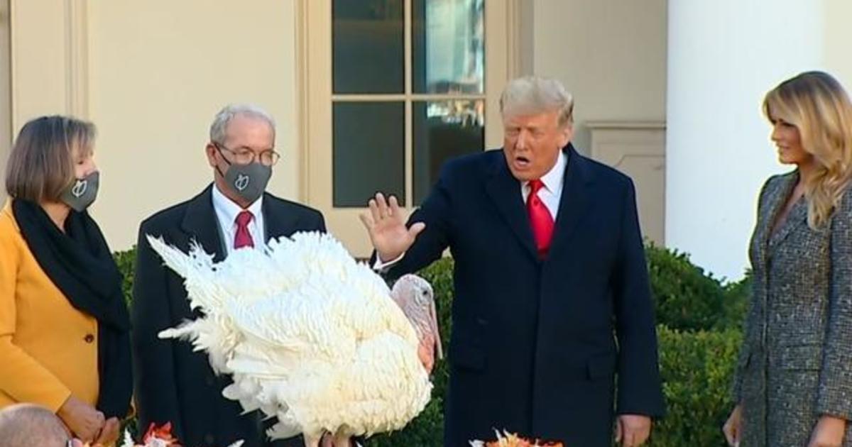 Trump pardons Thanksgiving turkey