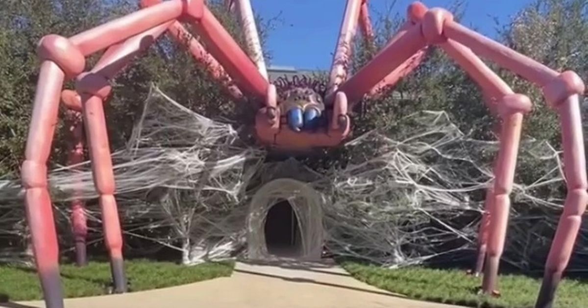 Kim Kardashian’s ‘living nightmare’ as she transforms mansion into spider den