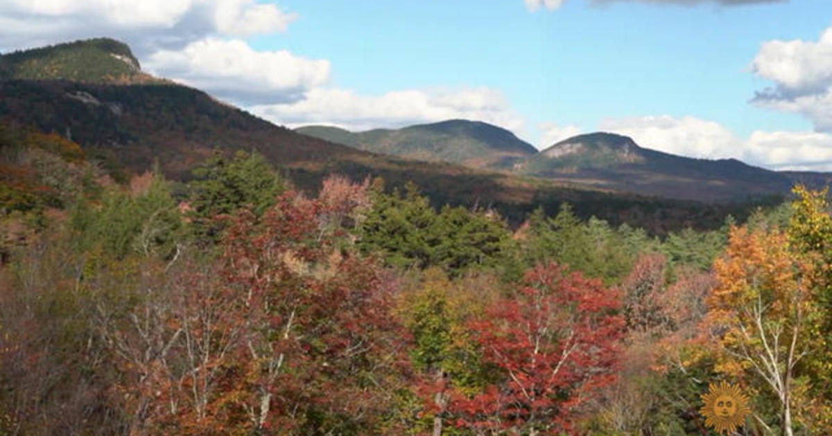 Nature: White Mountain National Forest