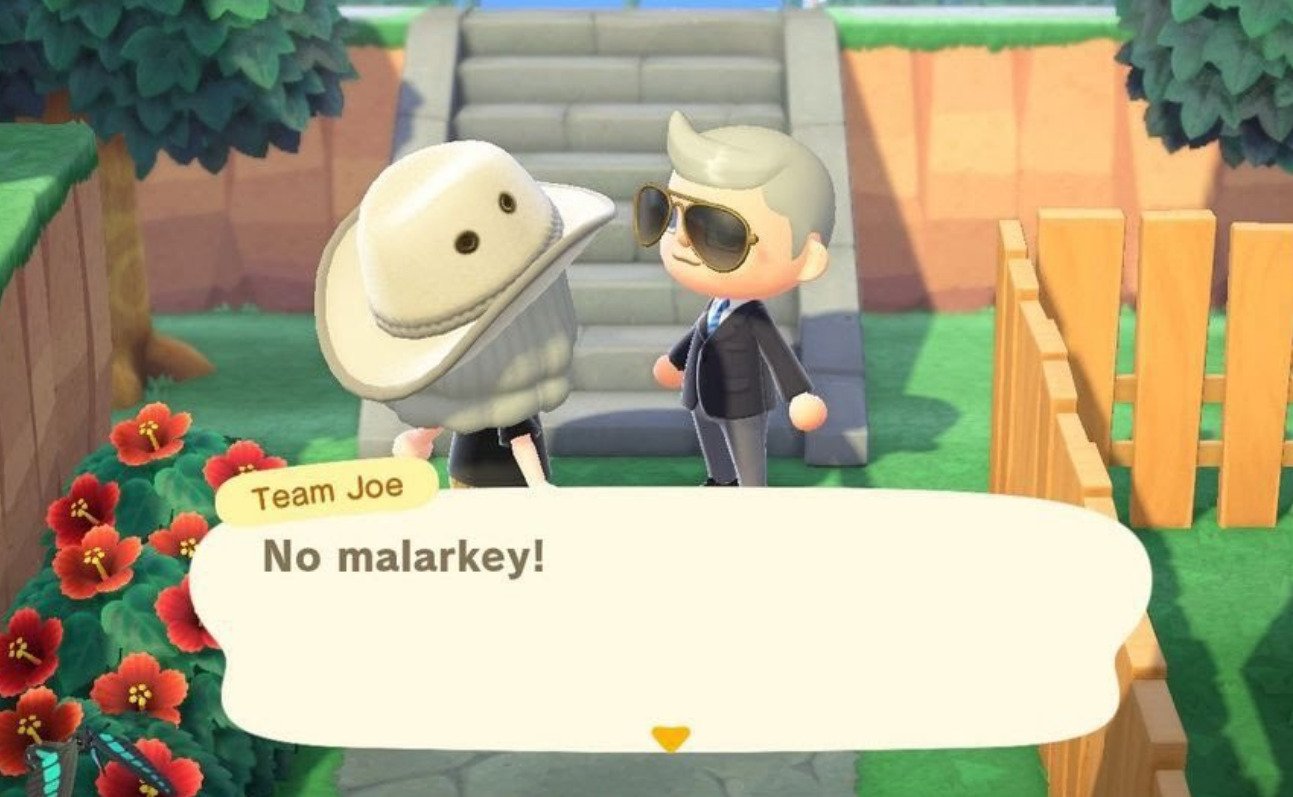 Nintendo Threatens To Ban People From Animal Crossing: New Horizons Over Political Speech