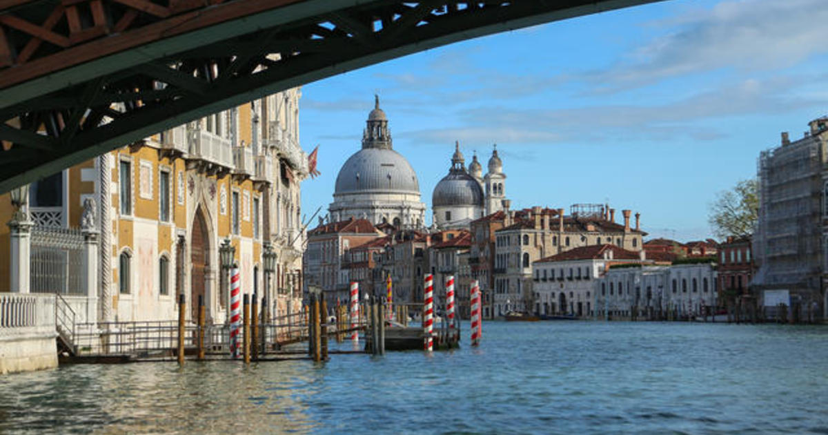 Venice is Drowning, Joaquin Phoenix, Rafa