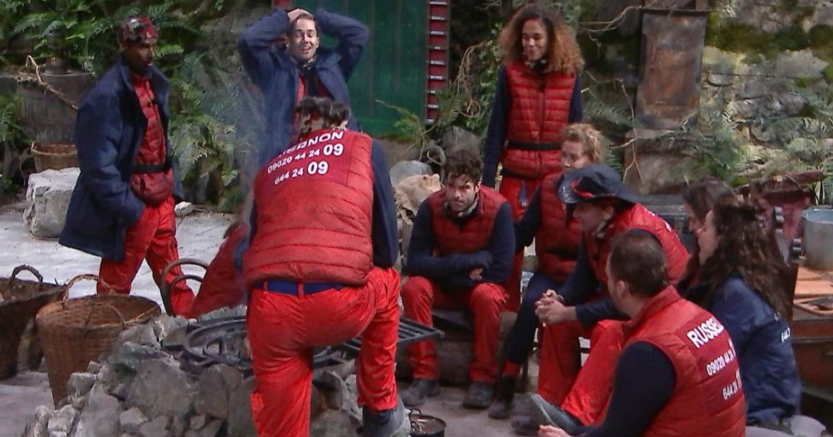 I’m A Celeb stars suffer sleepless nights as they’re ‘terrorised by crows’