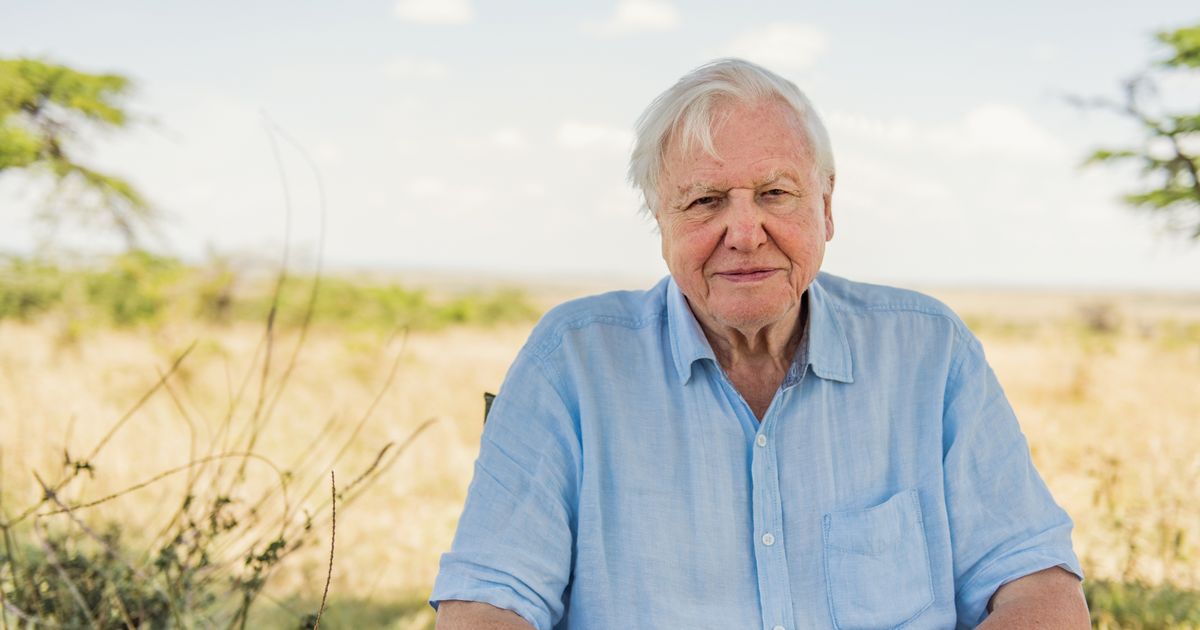 Sir David Attenborough ‘furious’ after being embroiled in cannabis oil scam