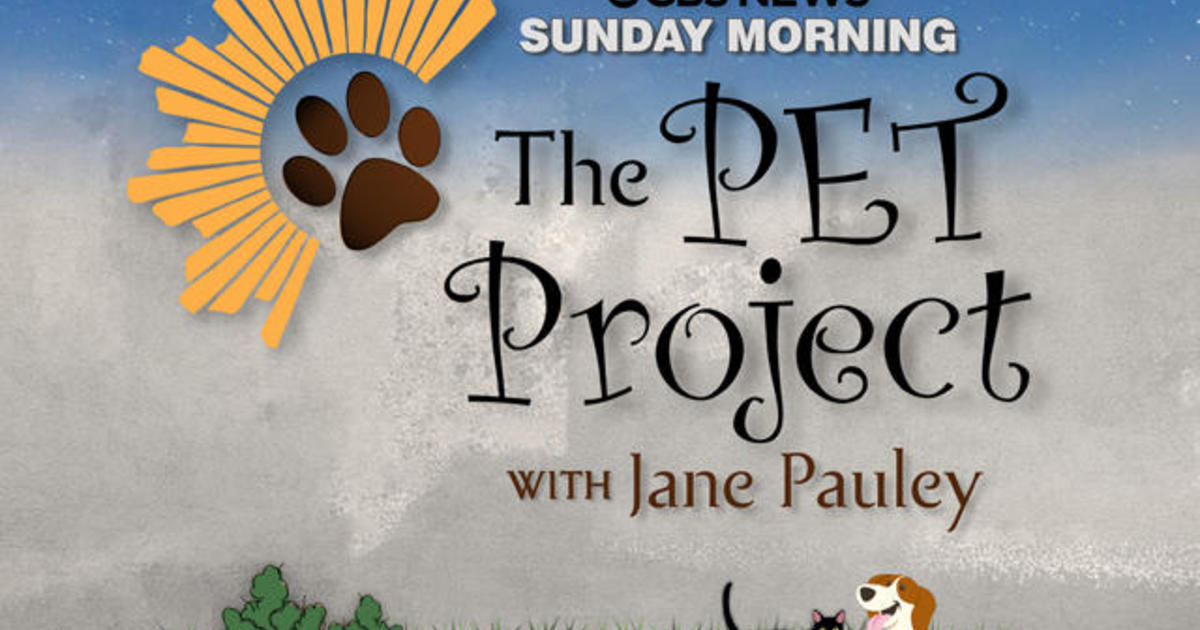 Don’t miss the “CBS Sunday Morning” primetime special, “The Pet Project”