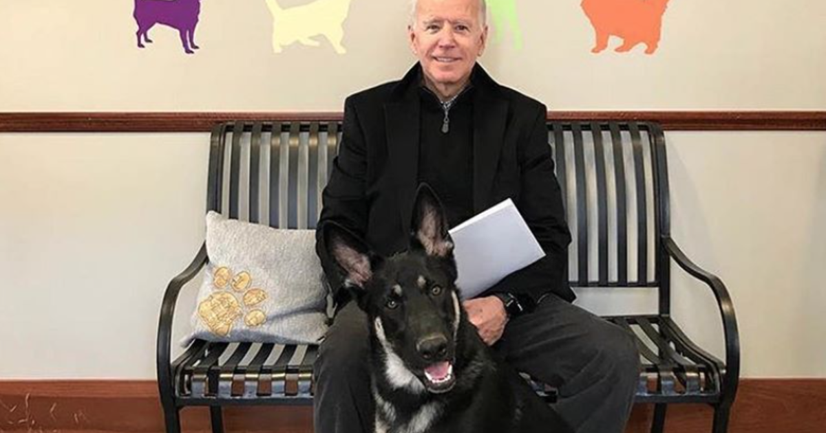 Biden’s dog will be the first of his kind in the White House