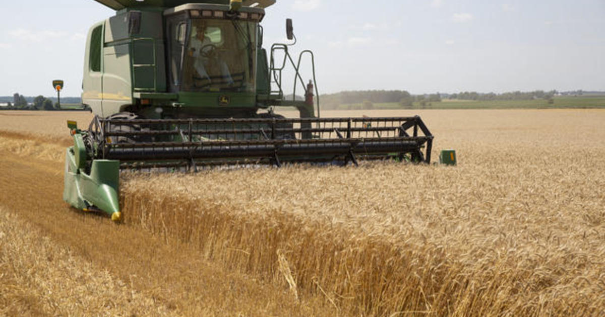 Democrats debate direction of the U.S. Department of Agriculture