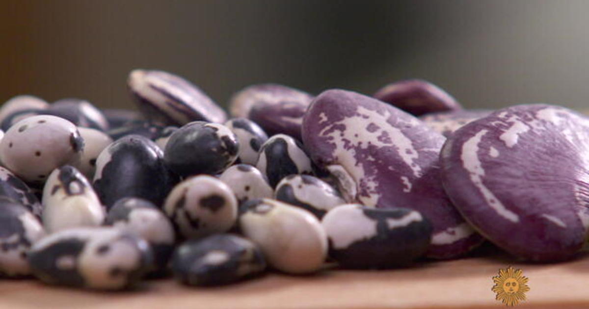 Heirloom beans, from Napa Valley to your mailbox