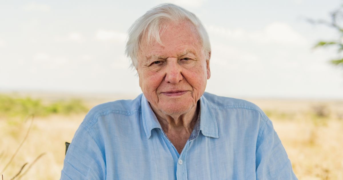 Sir David Attenborough quits Instagram two months after climate change warning