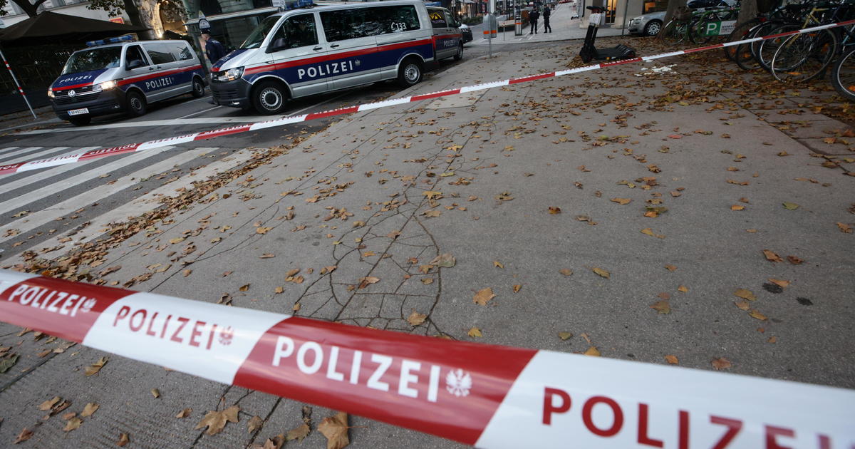 Massive manhunt after Vienna terror attack leaves several dead