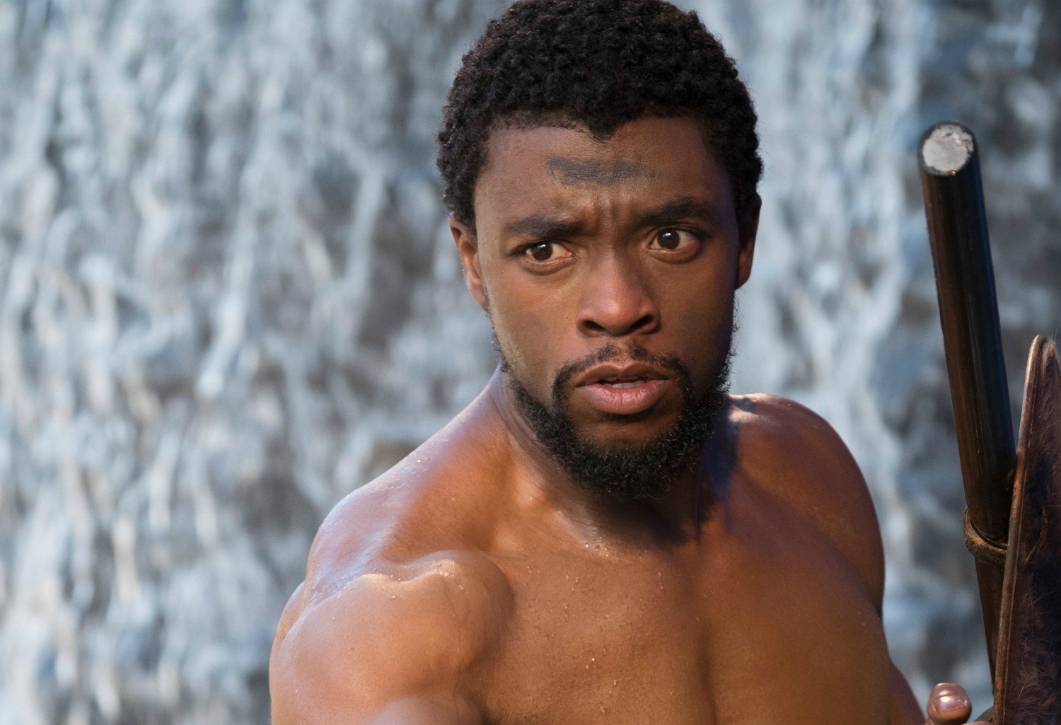 Chadwick Boseman’s ‘Black Panther’ Role Of T’Challa Will NOT Be Recast In The Sequel After His Death, Disney Confirms!