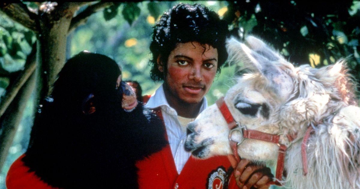 Michael Jackson’s pet chimp was banned from recording studio for ‘throwing poo’