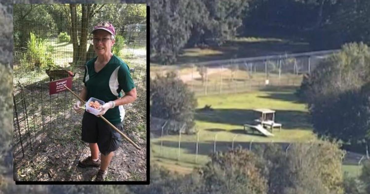 Tiger nearly tears off arm of volunteer at Big Cat Rescue in Tampa