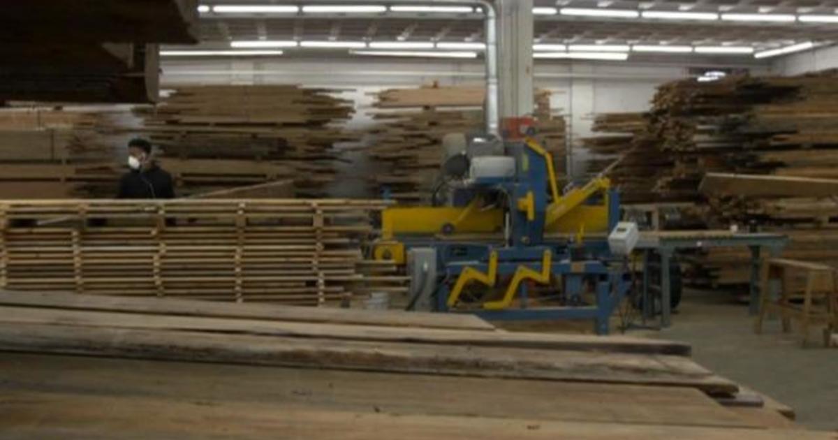 Urban wood movement aims to fight climate change and create jobs