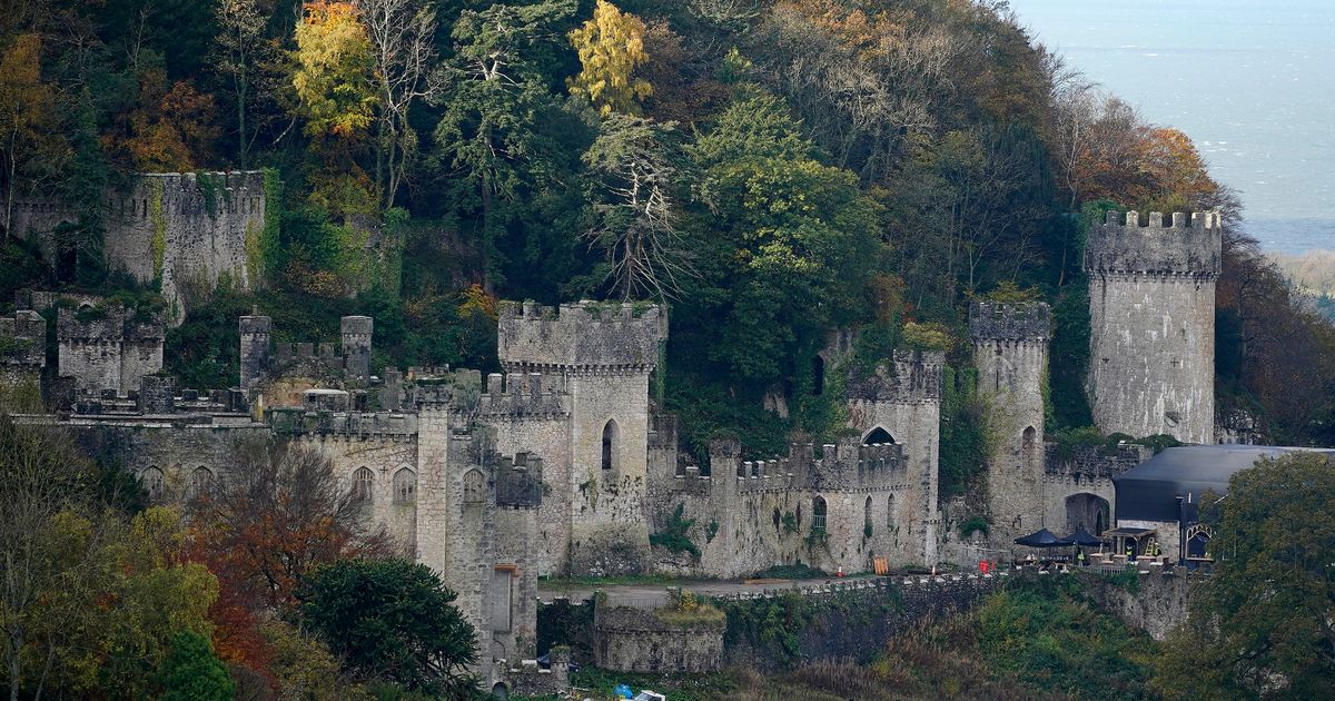 Dead body found in woodland near I’m a Celebrity’s Gwrych Castle