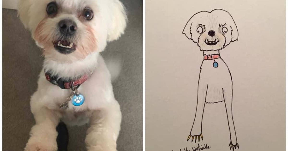 U.K. dad raises cash and smiles with a “bonkers” pet portrait career