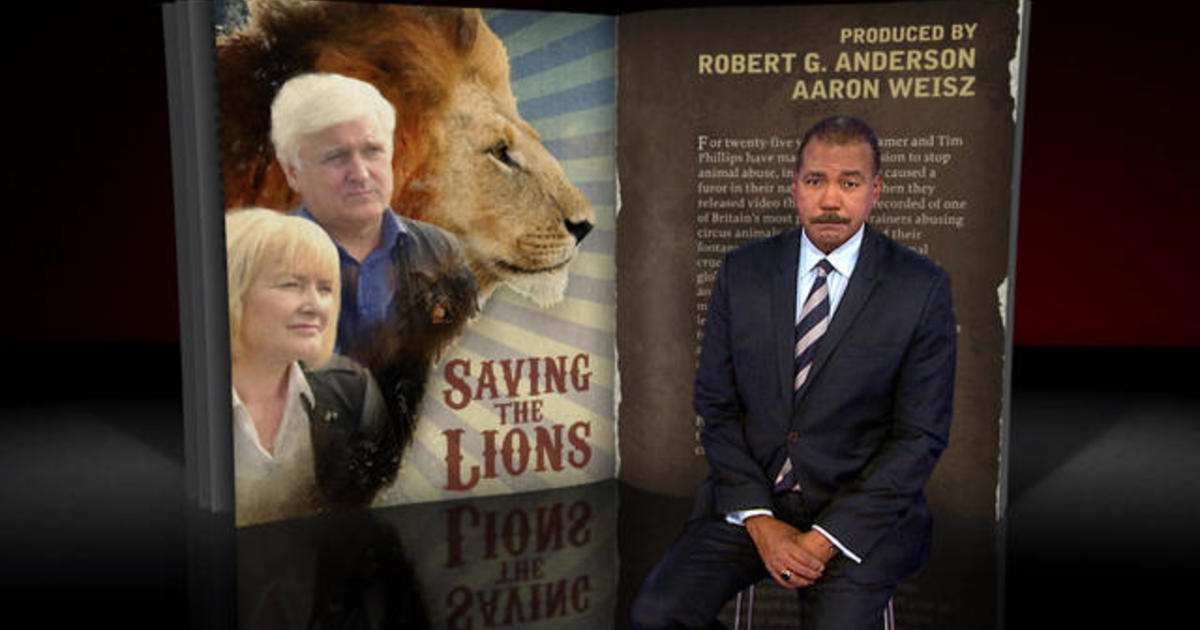 Freed from the circus, lions killed by poachers