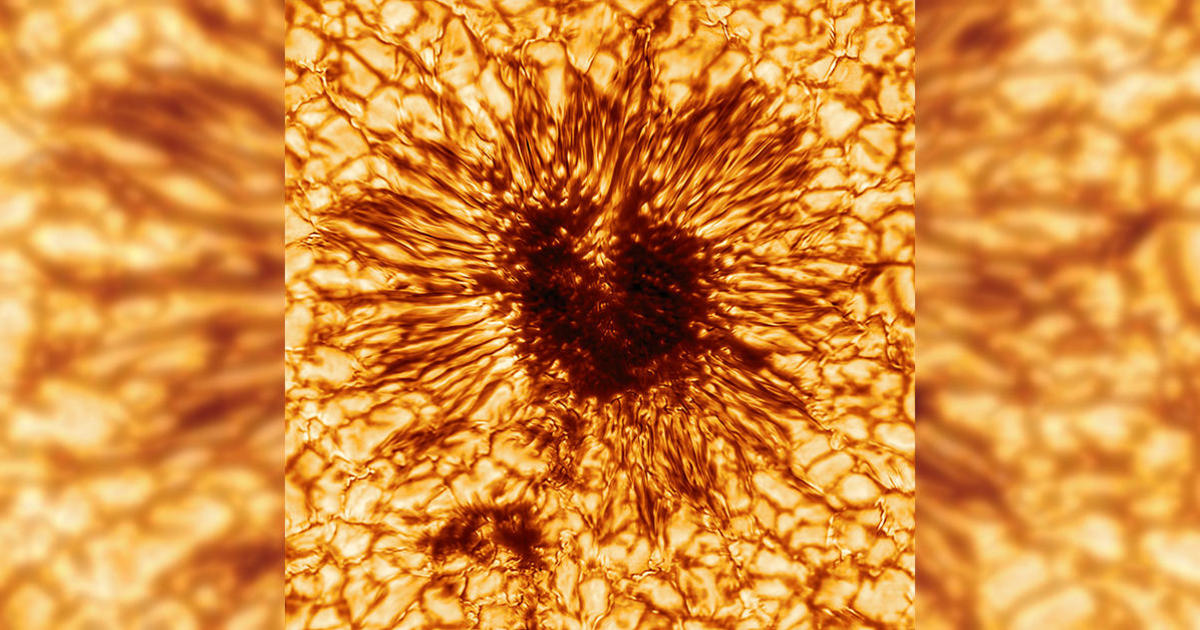 “Unprecedented” image captures a sunspot larger than Earth