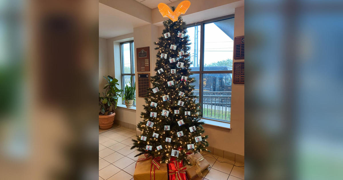 Alabama sheriff’s office slammed for “thugshot” Christmas tree decor