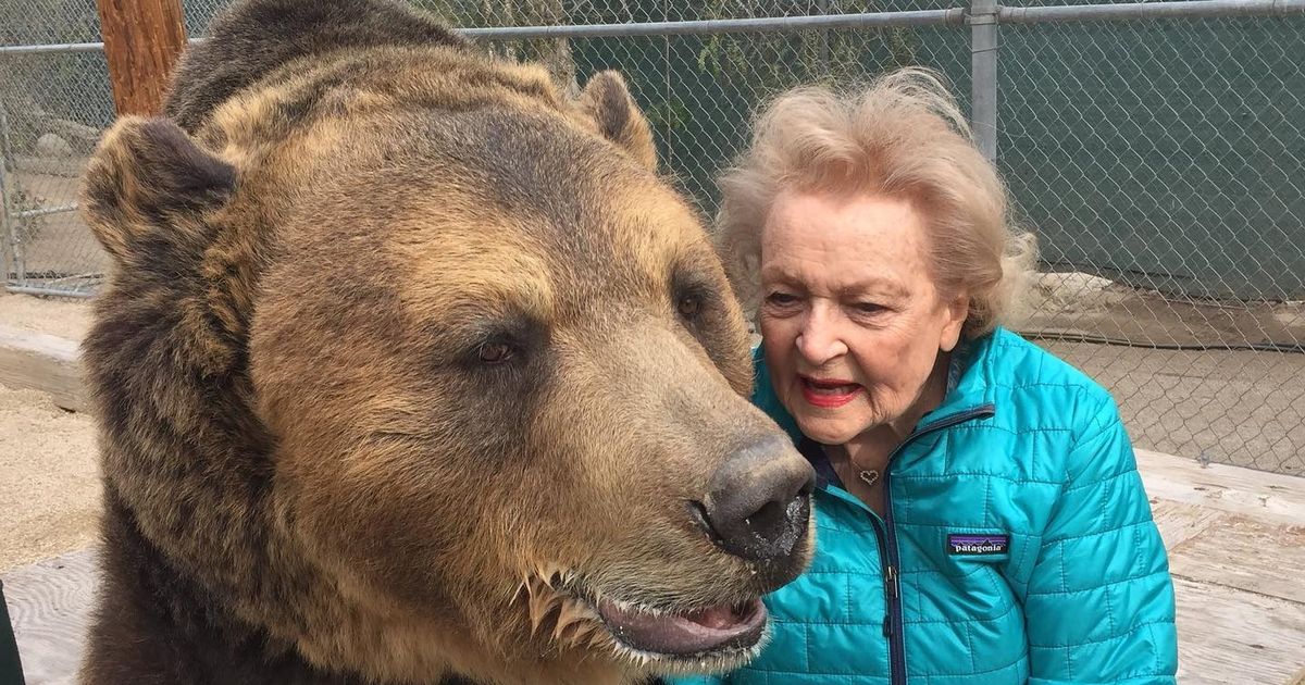 Betty White’s beloved bear Bam Bam dies months after legendary actress passed away