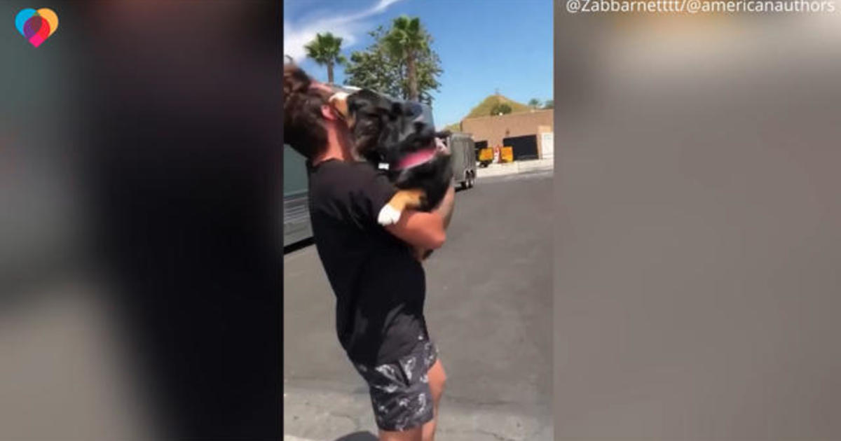 Owner finally reunites with his dog after three months of being away