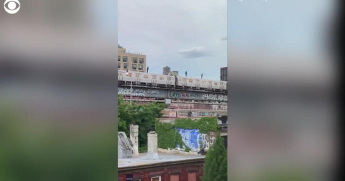 Subway surfers seen atop train crossing bridge into Brooklyn